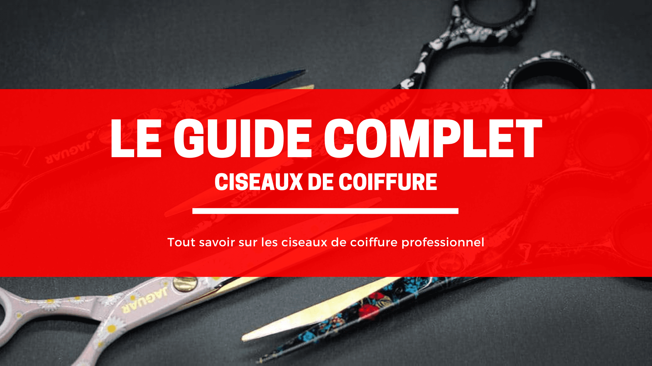 Ciseaux de coiffure : Le guide complet
