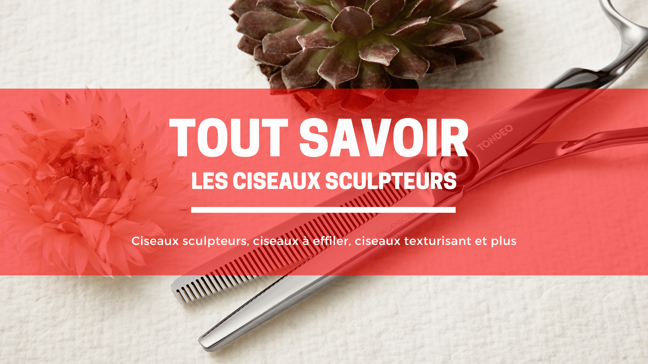 Tout savoir sur les ciseaux sculpteurs