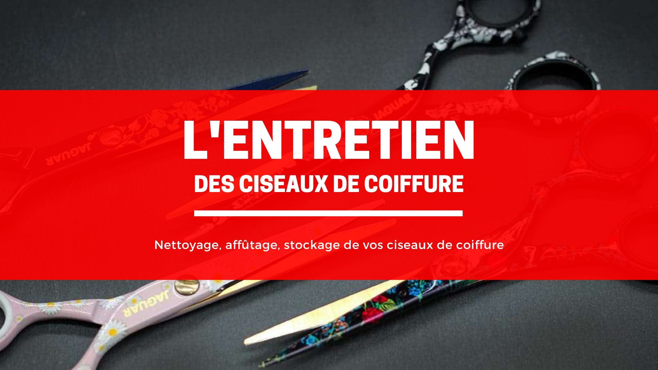 Entretien des ciseaux de coiffure professionnels