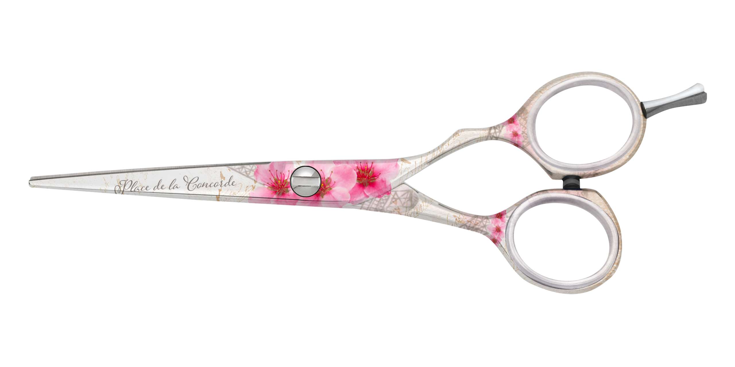 Ciseaux de coiffure Jaguar Paris