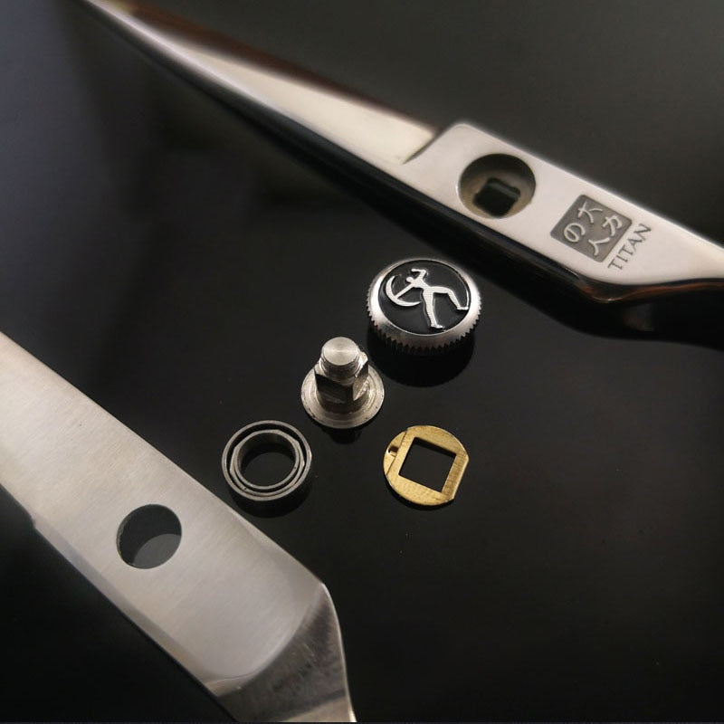 Ciseaux de coiffure Titan Pro