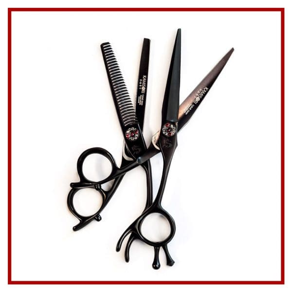Set ciseaux de coiffure Kamisori Black Diamond III