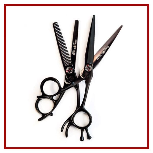 Acheter Kit de ciseaux à cheveux de 6 pouces, outils de coiffure
